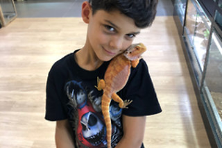 Visite guidée du Reptilarium, manipulation et nourrissage des animaux chez Mike's Reptipark à Tournai (Hainaut)