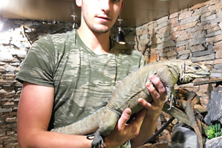 Visite guidée du Reptilarium, manipulation et nourrissage des animaux chez Mike's Reptipark à Tournai (Hainaut)