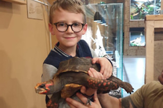 Visite guidée du Reptilarium, manipulation et nourrissage des animaux chez Mike's Reptipark à Tournai (Hainaut)