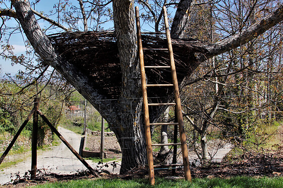 Glamping Hills - photo 5
