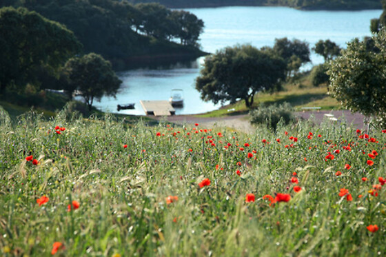 Herdade da Cortesia Hotel **** - photo 13