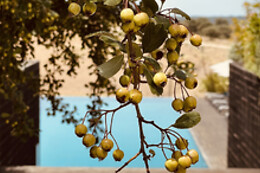 Herdade da Cortesia Hotel ****