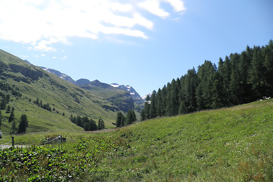 Crasta Padrun Barbara - photo 3
