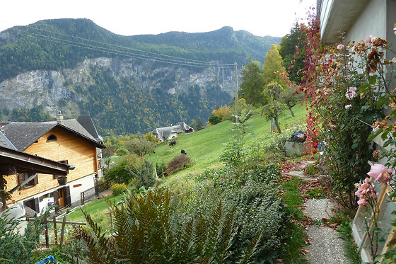 B&B Chez Le Tchoum - photo 3