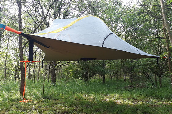 Vignoble Insolite - photo 11