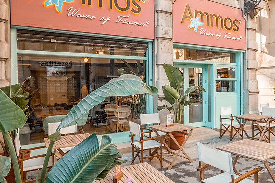 RESTAURANTE AMMOS VALENCIA - photo 16