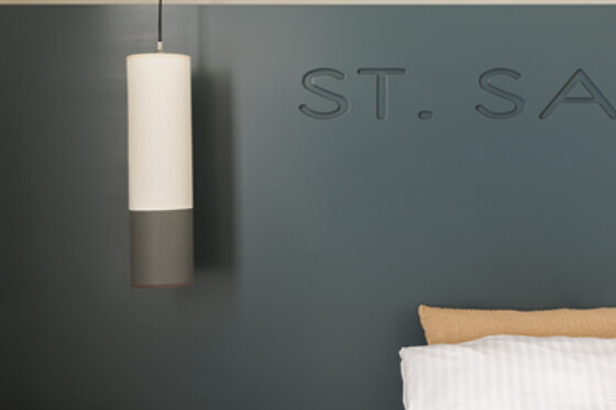 Hotel Saint Sauveur**** - photo 8