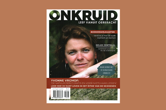 Abonnementenland - photo 183