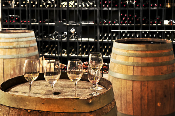 Domaine André Blanck et ses fils - photo 9