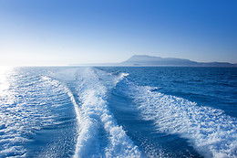 PALMAYACHTS - BOAT TOURS