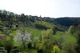 Hôtel Aux Trois Roses