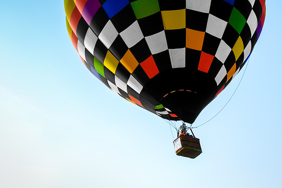 GLOBOS BOREAL - photo 5
