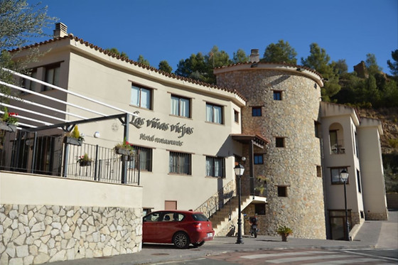 HOTEL RESTAURANTE VIÑAS VIEJAS - photo 8