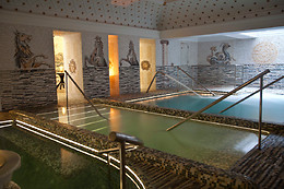 TERMAS DE HISPALIS
