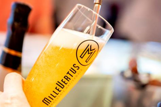 Brasserie Millevertus - photo 4