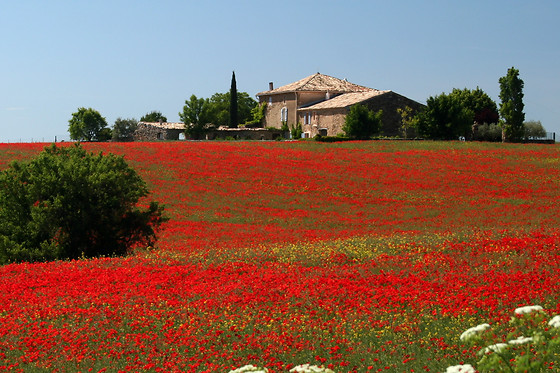 L'Esprit Nature - photo 0