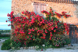 L'Esprit Nature