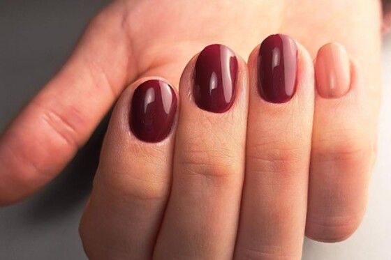 Padysnail - photo 5