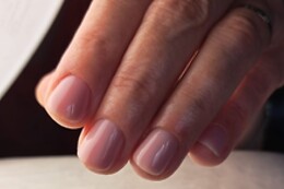 Padysnail