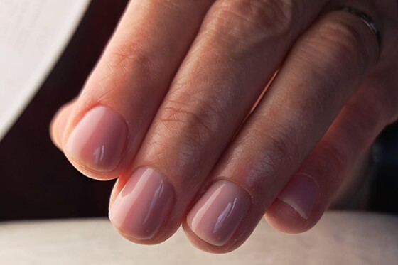 Padysnail - photo 2