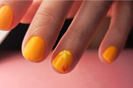 Padysnail