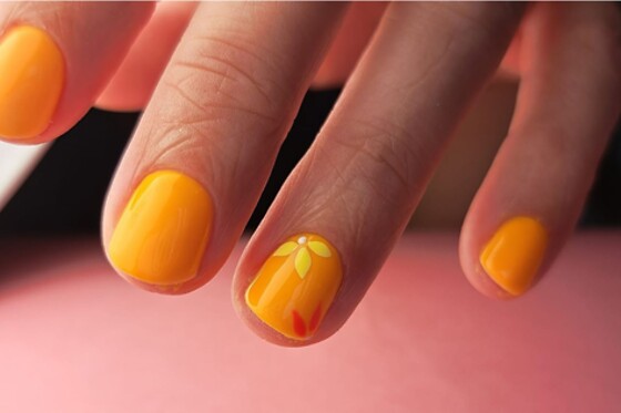 Padysnail - photo 0