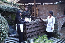 B&B Ianua Coeli