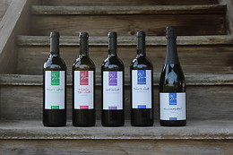 Weinbau Haselrain