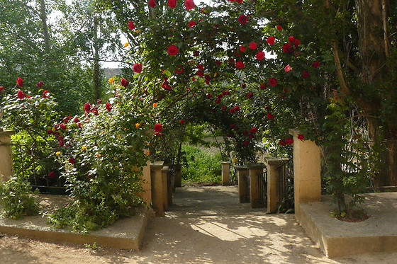 CASA RURAL TORRE DE CAMPOS - photo 2