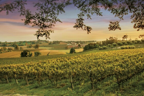 Cantina Bertagna - photo 0