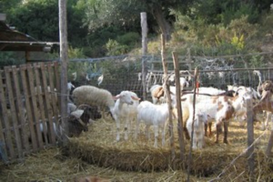 Agriturismo San Fele - photo 0