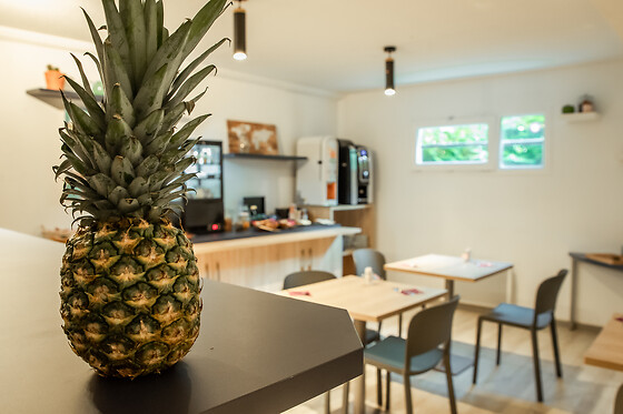 Appart'Hotel Brest - photo 8