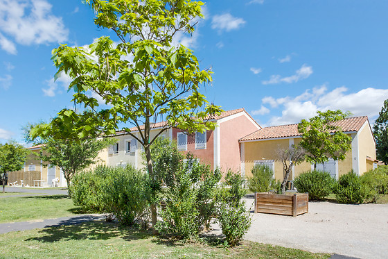 Domaine d'enserune - photo 10