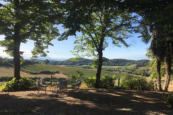 Azienda Agricola Monfrà - photo 1
