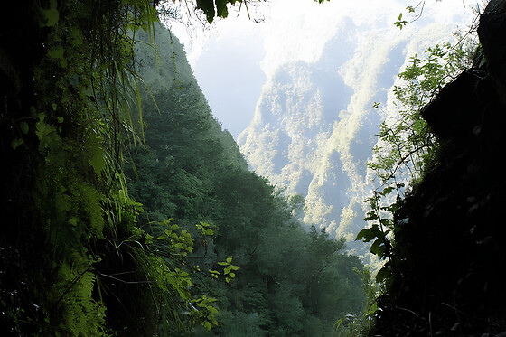 ILHA TOURS - photo 5