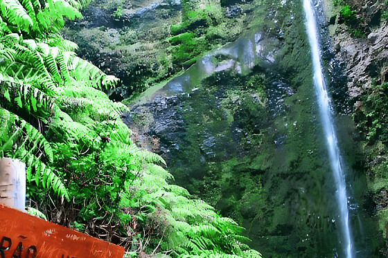 ILHA TOURS - photo 3