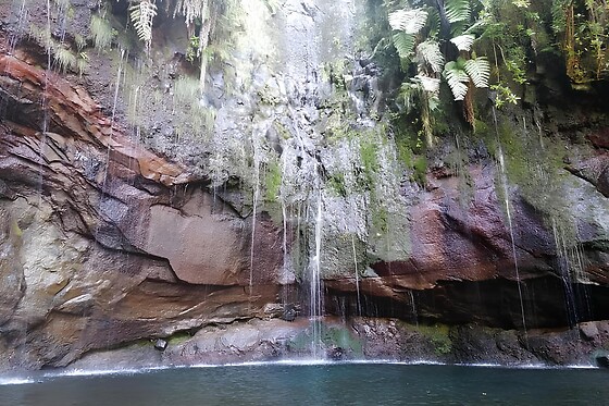 ILHA TOURS - photo 6