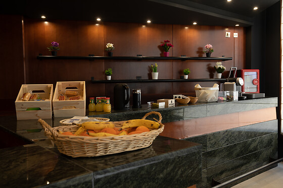 HOTEL BRACAMONTE - photo 7