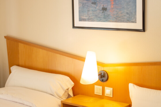 HOTEL BRACAMONTE - photo 9