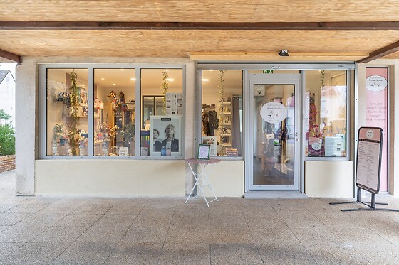 Oceana Institut - photo 3