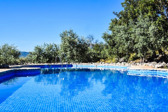 LOS ALGARROBALES - photo 6