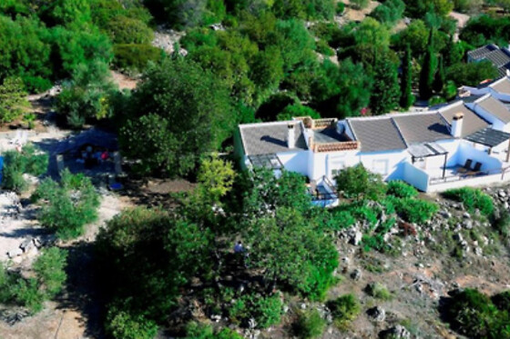 LOS ALGARROBALES - photo 0