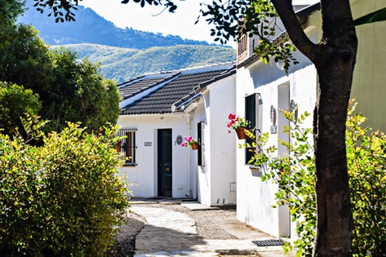 LOS ALGARROBALES - photo 7