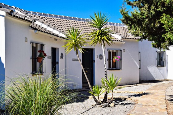 LOS ALGARROBALES - photo 8