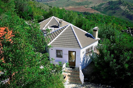 LOS ALGARROBALES - photo 2