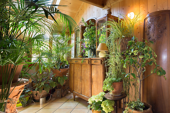 Au Jardin - photo 9