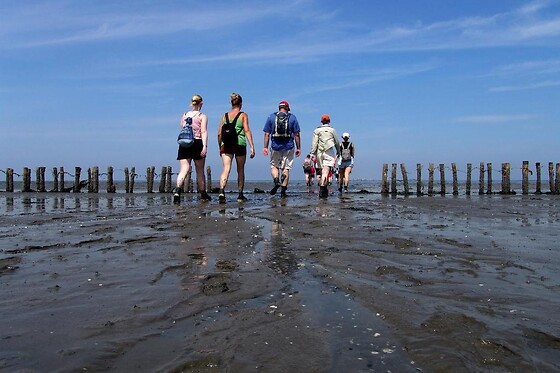Hotel Waddengenot - photo 9