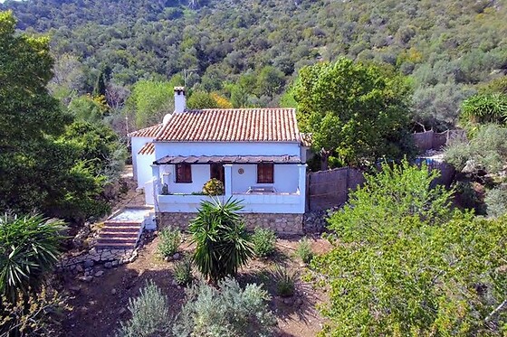 LOS ALGARROBALES - photo 0