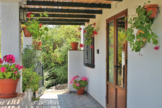 LOS ALGARROBALES - photo 4
