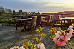 Hôtel Aux Trois Roses